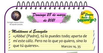 40 domRamos